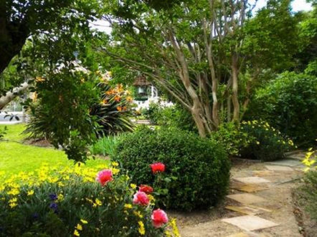 Auberge Alouette Guesthouse Franschhoek Kültér fotó